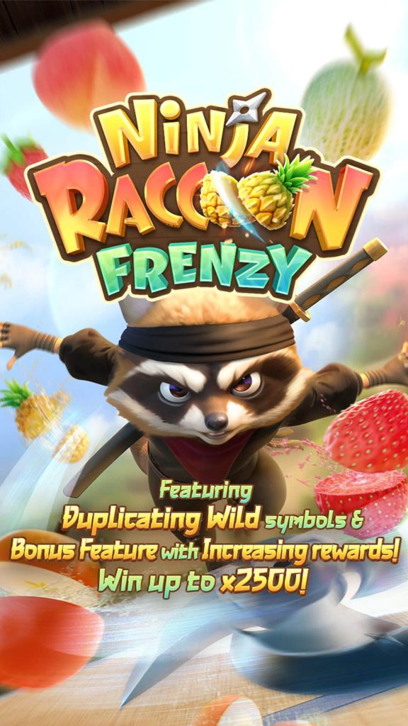 ninja-raccoon-frenzy01